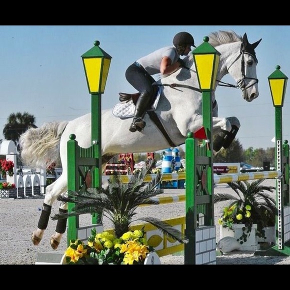 🌺🦄Meet your posher, KRISTIN!🦄🌺 - Picture 4 of 8